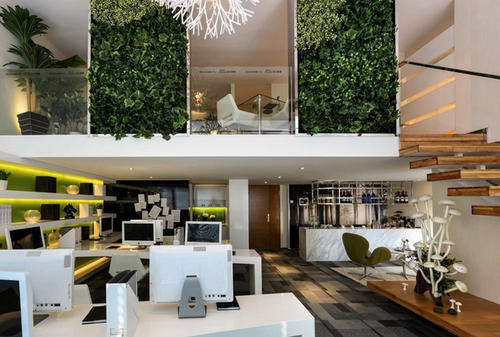 辦公室裝修中綠植是不可或缺的！為什么呢？