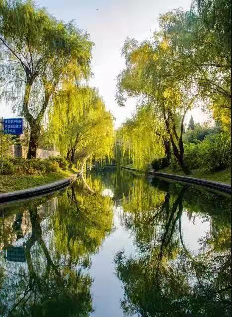 園林要怎么樣設(shè)計(jì)才好看？告訴大家這個(gè)小技巧