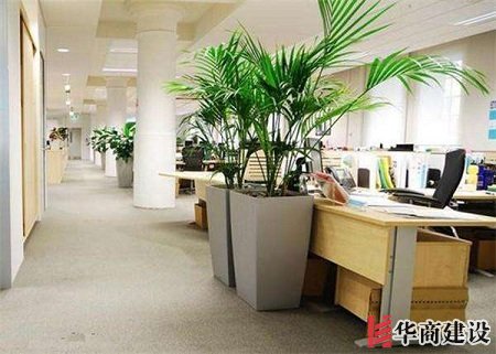 辦公室裝修的五大原則，原來(lái)要這樣設(shè)計(jì)！