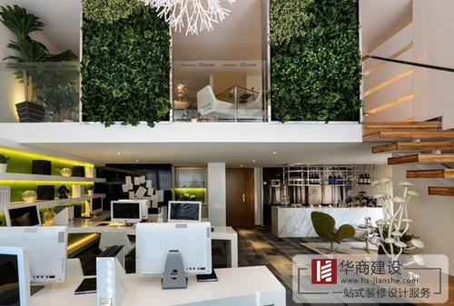 辦公室裝修中綠植是不可或缺的！為什么呢？